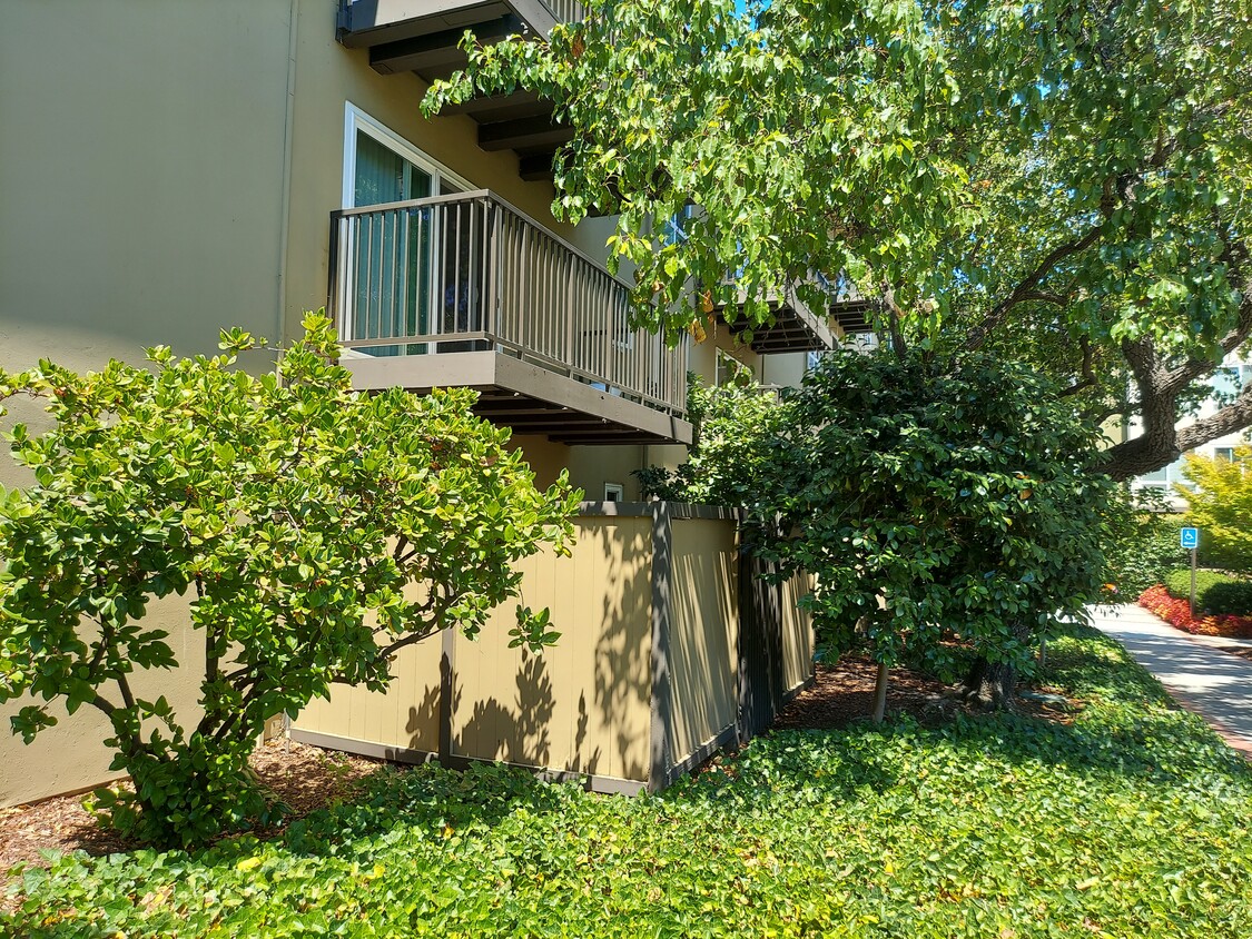 Studio Apartment 204 - 1618 Sand Hill Rd