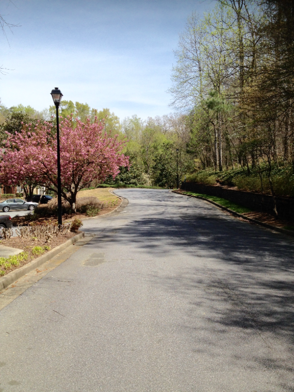 Foto del edificio - 810 Camden Ct NW
