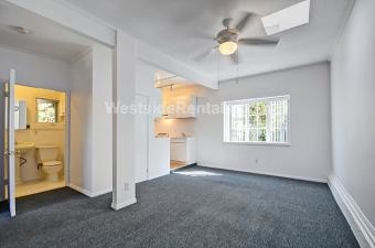 Building Photo - 507 9th St