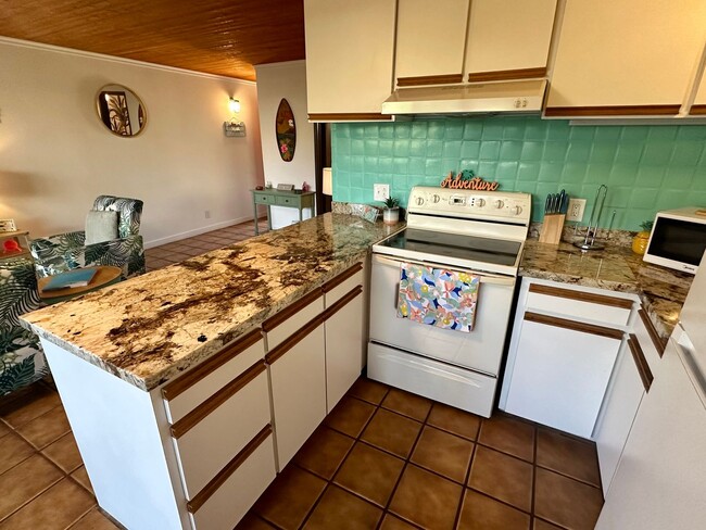 Building Photo - Ocean Front Complex w/ Pool & Amenities, F...