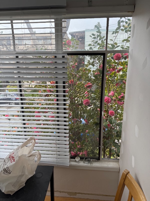 Photo - 2480 Virginia St Apartment