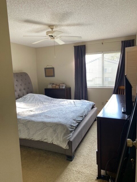 Foto del edificio - 503 Shady Pine Way