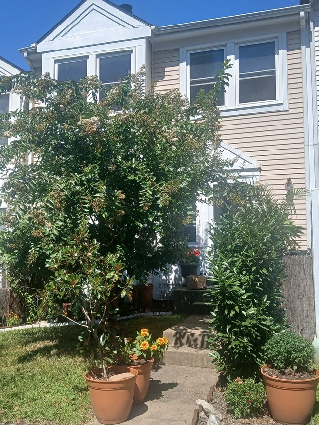 Building Photo - 12173 Salemtown Dr