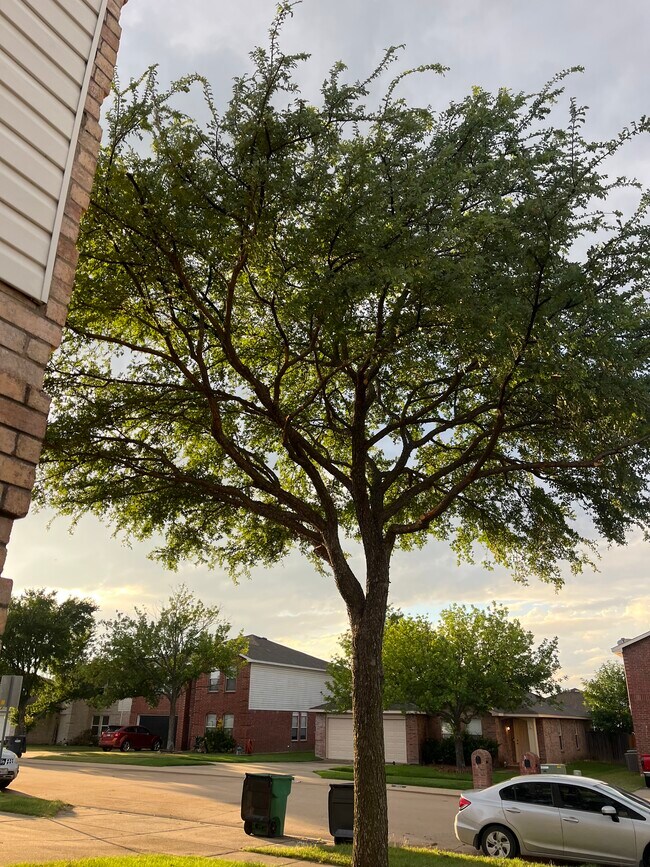 Foto del edificio - 2545 Brinlee Branch Ln