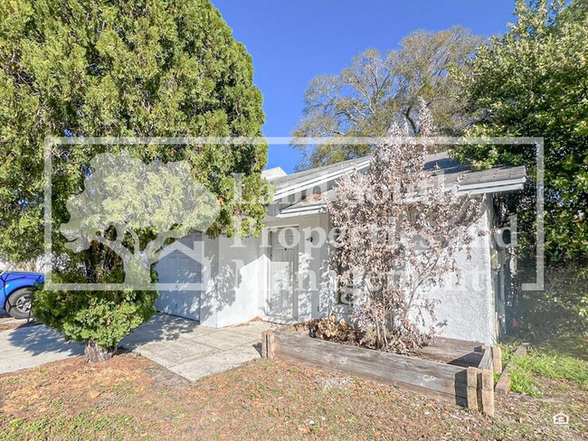 Foto del edificio - 250 Village View Ln