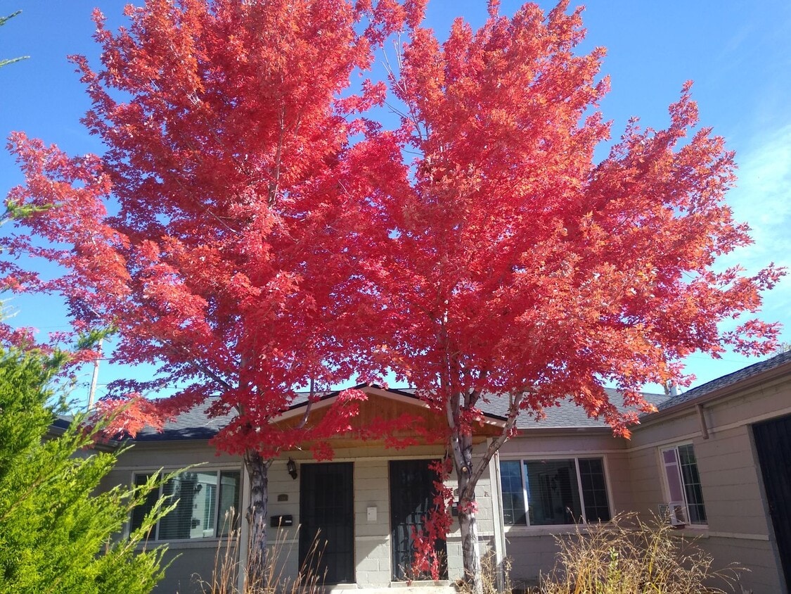 Primary Photo - Mountain & City Views 2 Bed, 1 Bath Duplex...
