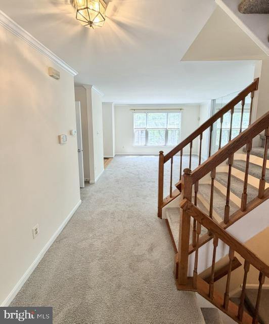 Foto del edificio - 45572 Whitcomb Square