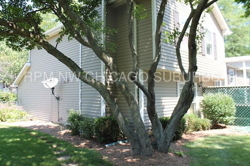 Building Photo - 715 Concord Court Algonquin, IL 60102