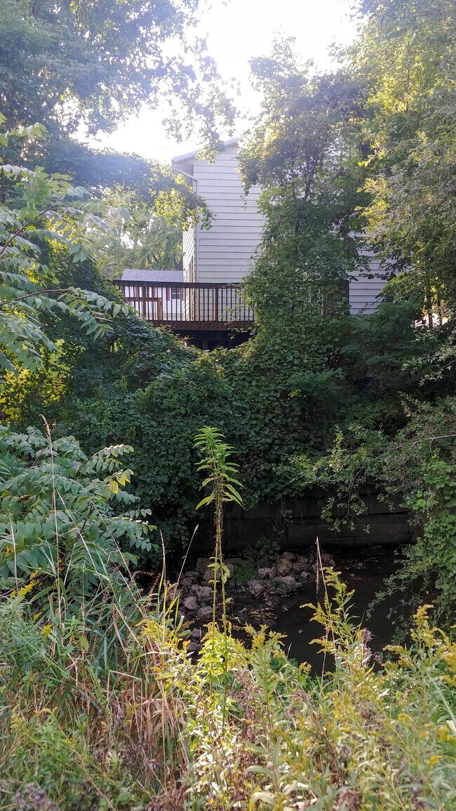 The deck from across the creek - 2865 Maplecrest Rd
