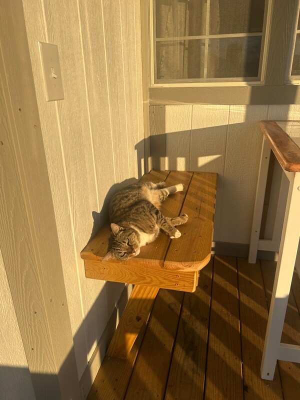 Foto del edificio - 373 T Johnson Rd