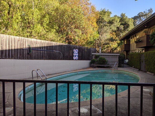 patio/swimming pool - 2221 Lake Rd