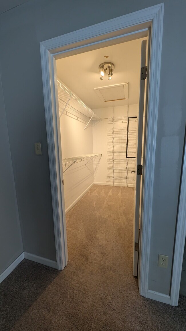 Foto del edificio - 1408 Summertree Springs Ave