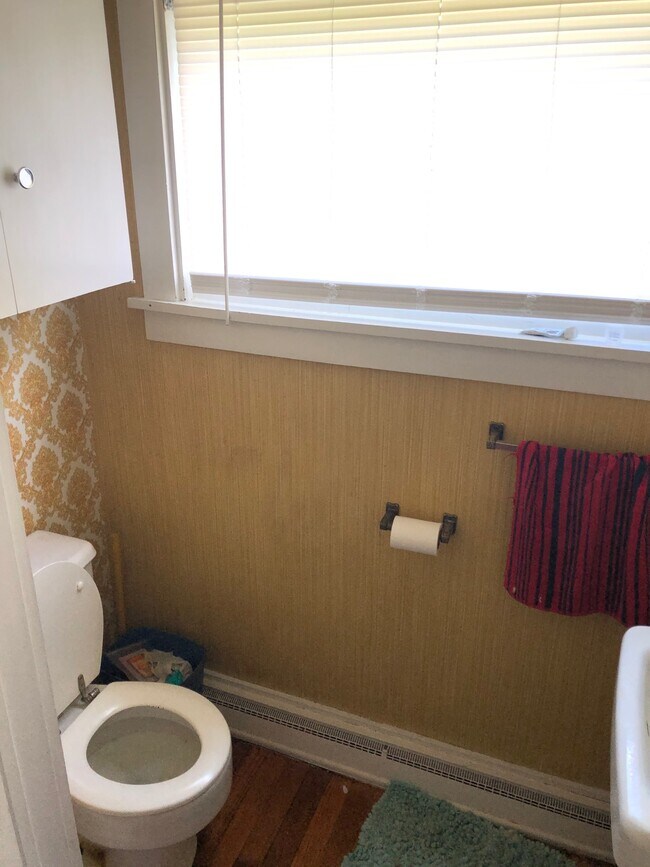 Downstairs half bathroom - 317 E Falls St