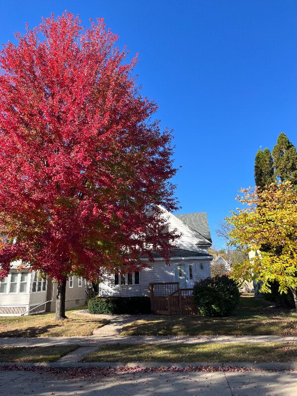 4230 S 39th Ave, Minneapolis, MN 55406 House Rental in Minneapolis