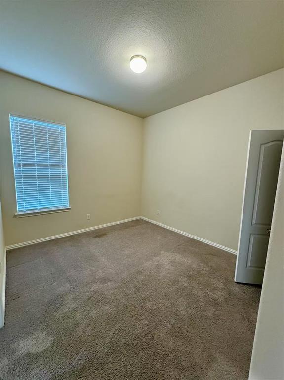 Building Photo - 30111 Twisting Springs Dr