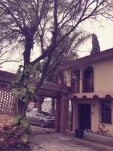 Building Photo - 100 N Palm Dr