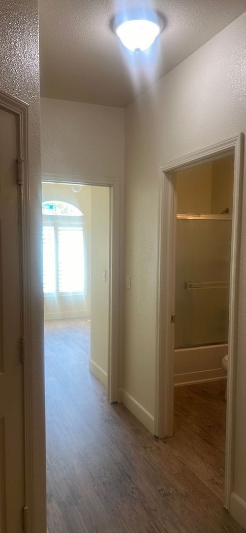 Photo - Coming Soon! Apartment