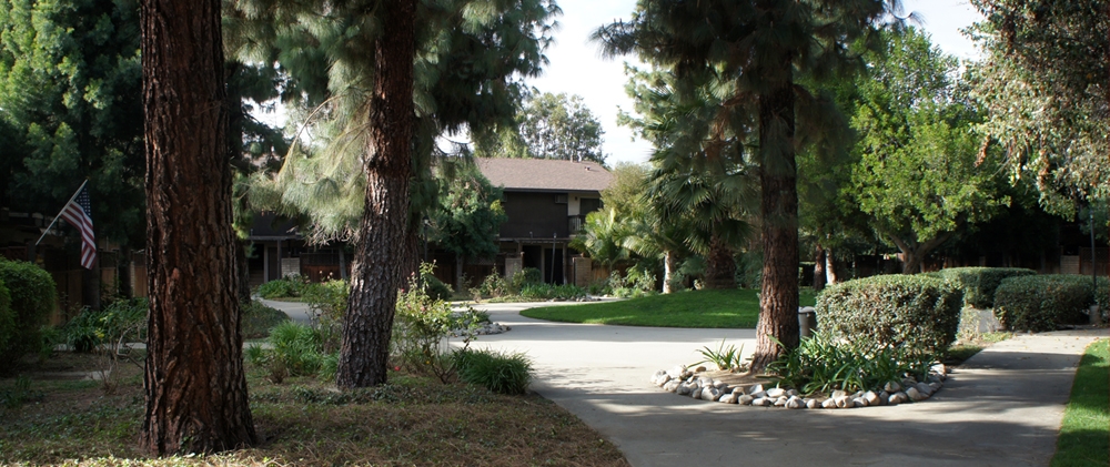 Primary Photo - La Verne Woods