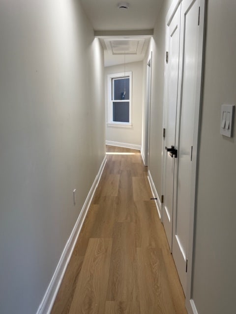 pasillo - 218 Elizabeth Ave