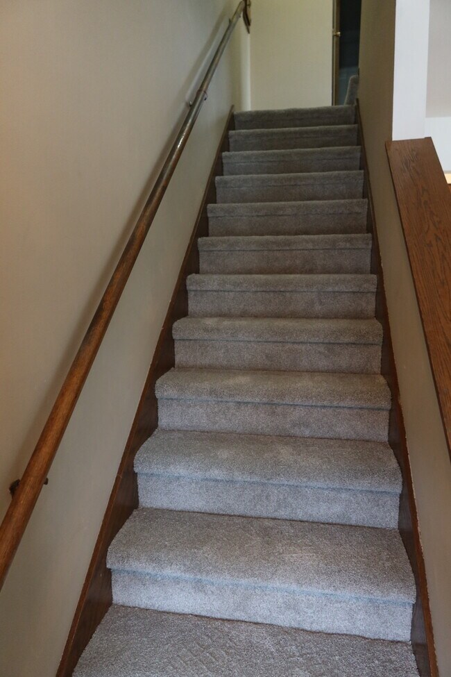 Alfombra nueva - segundo piso - 240 N Spring St