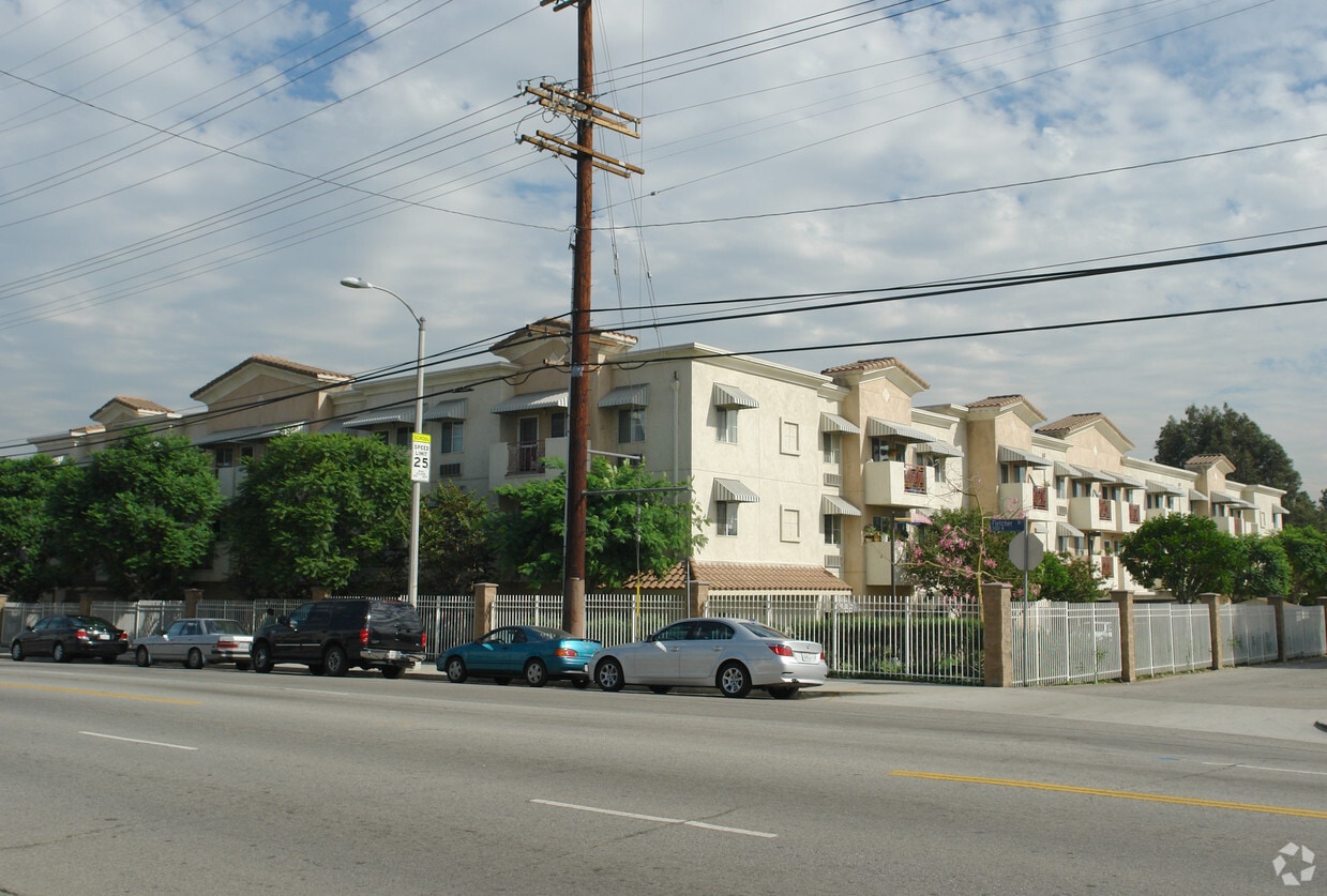 Primary Photo - Telacu Pointe