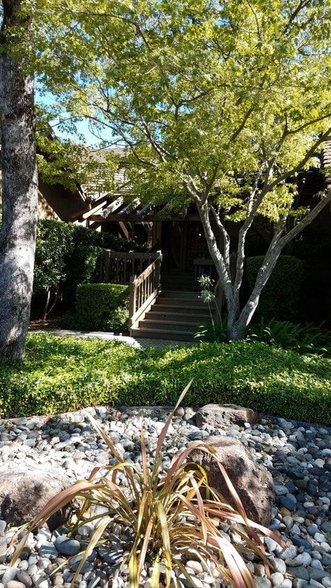 Primary Photo - South Auburn Town home Fully furnished