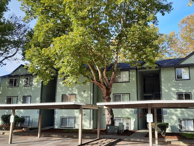 Building Photo - The Gardens Apartments