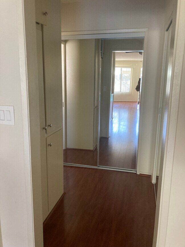 Mirrored Close doors - 3722 Bagley Ave