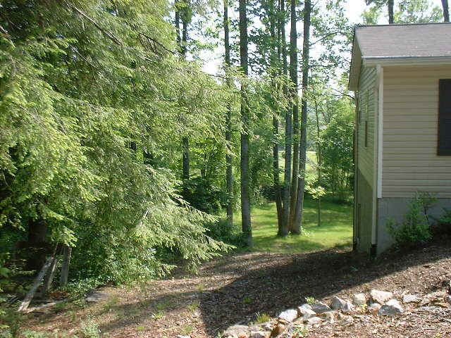 Foto del edificio - 1826 Lower Ridgewood Blvd