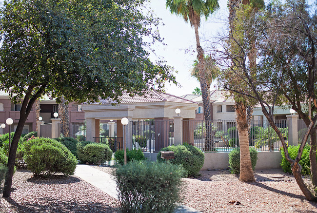 Jardines del complejo - Palm Terrace Apartments