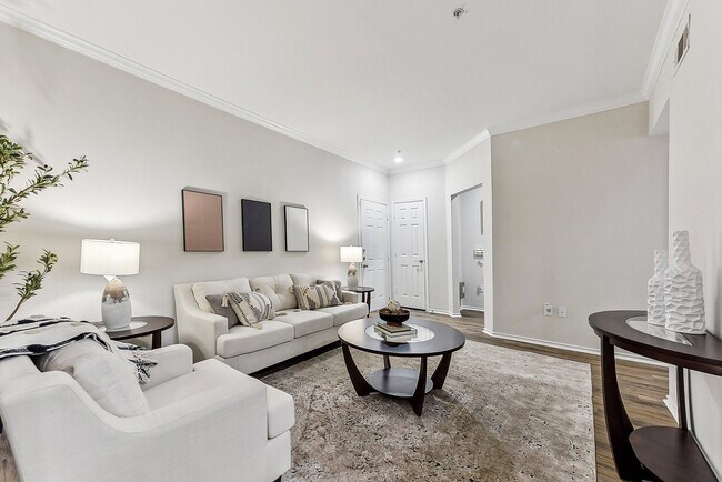 Roble de piedra en Parmer, Austin, TX - Stone Oak @ Parmer