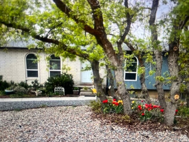 Foto del edificio - 1213 N Winston Dr