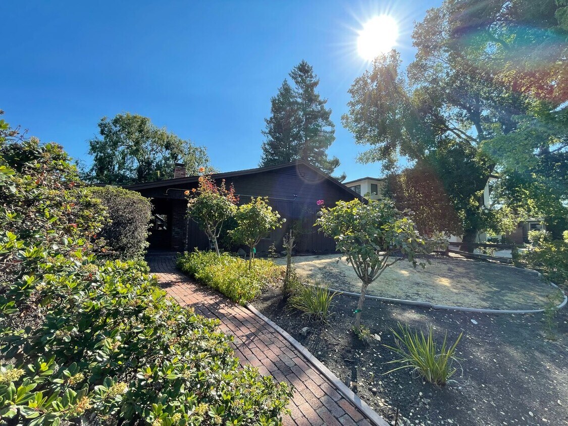 Primary Photo - Palo Alto - Midtown, 4 Bed, 2 Bath Updated