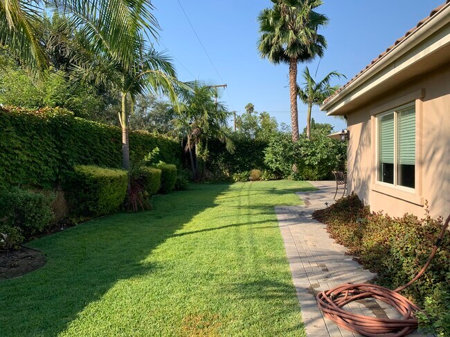 Patio trasero - 1532 Bluff Pl