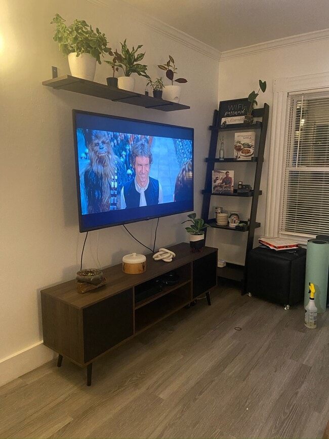 Photo - 6 McCabe St House