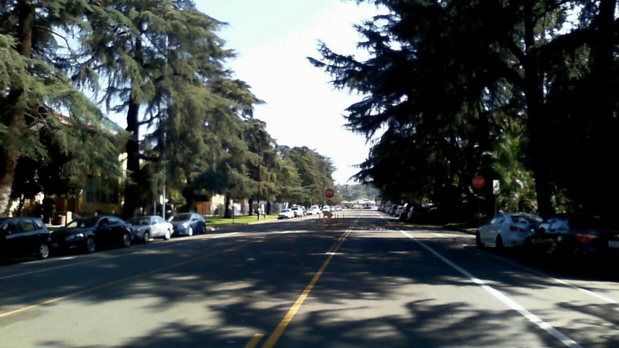 Calle arbolada - 2108 Fair Park Ave