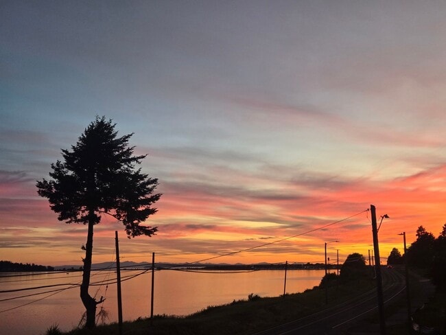 Building Photo - Condo in Blaine for Rent