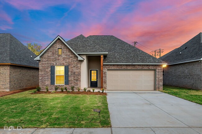 Building Photo - Newly Built Home in Willow Heights