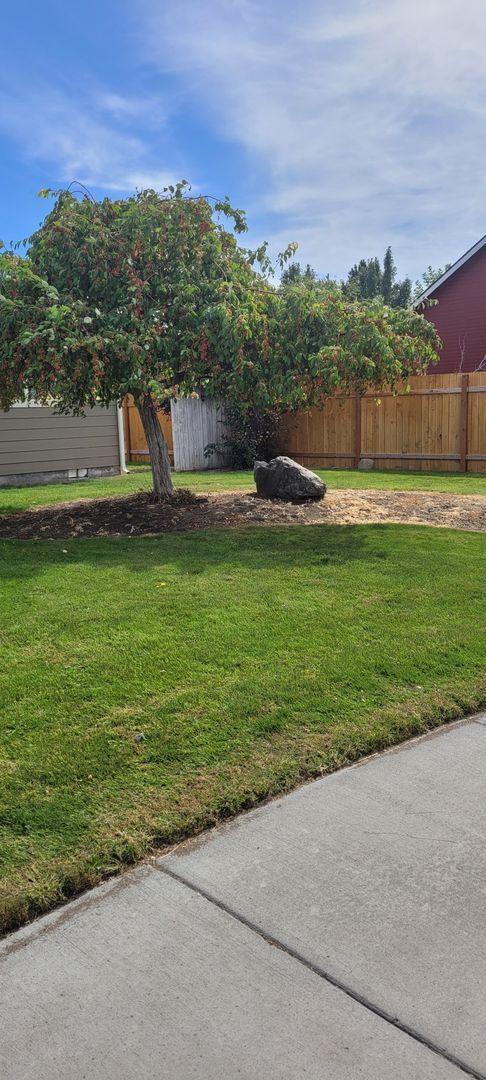 Foto del edificio - Cozy home on large lot w/fenced backyard