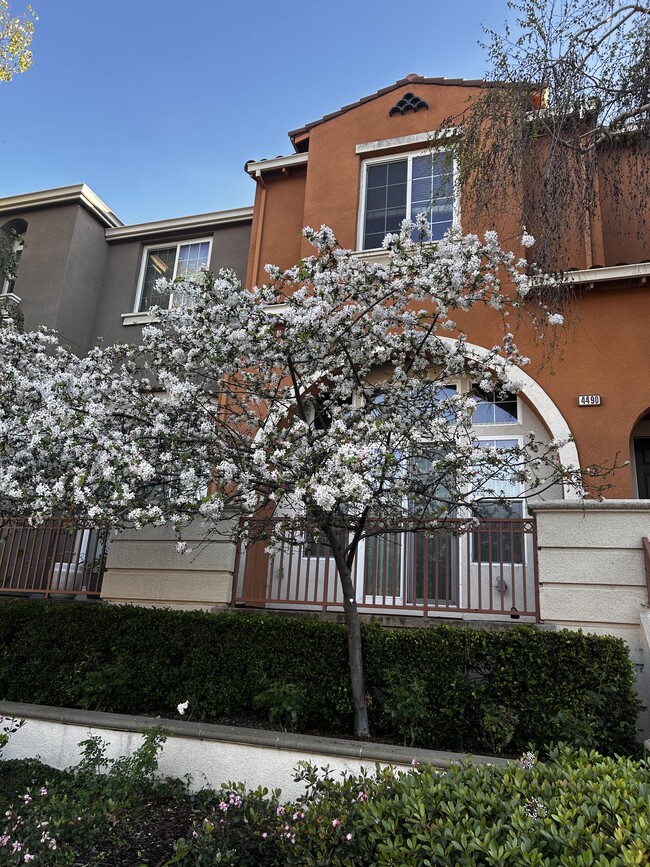 Building Photo - Lick Mill