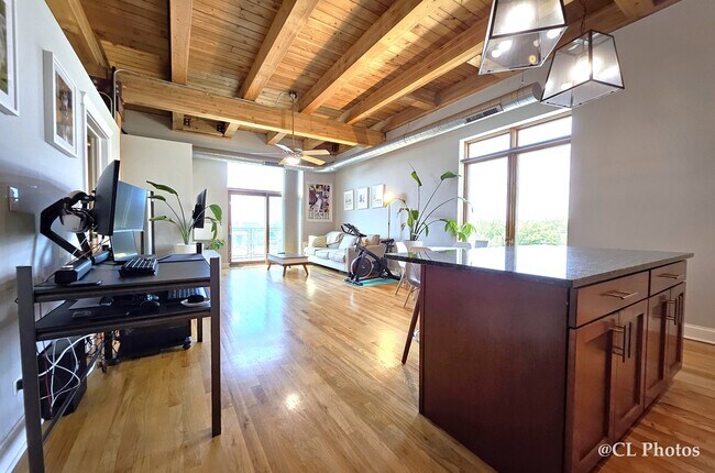 Foto del edificio - 500 N Damen Ave