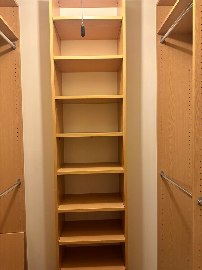 MBR WALK IN CLOSET - 19333 Frenchton Pl