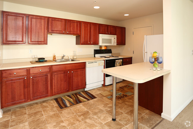 Beautiful and Modern Kitchen (All Appliances Included) - Forrest Pointe