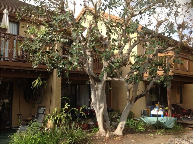Building Photo - 361 Orange Blossom