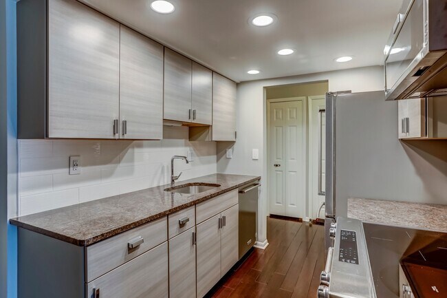 Granite and updated Stainless Steel appliances. - 411 S Old Woodward Ave