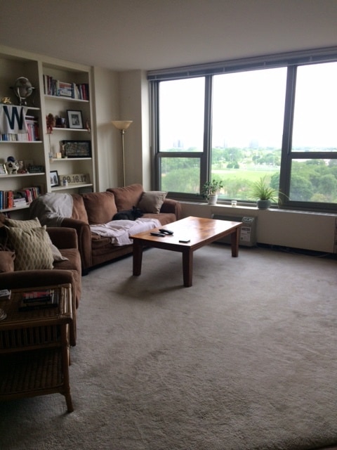 Foto del edificio - 1550 N Lake Shore Dr