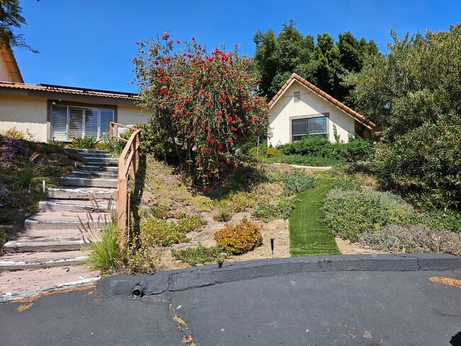 Building Photo - 3245 Vista Cielo Ln