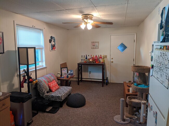 Living room - 218 N 3rd Ave