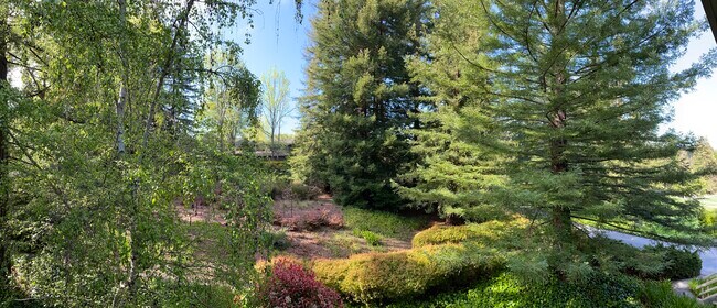 Vista desde el patio - 1100 Sharon Park Dr