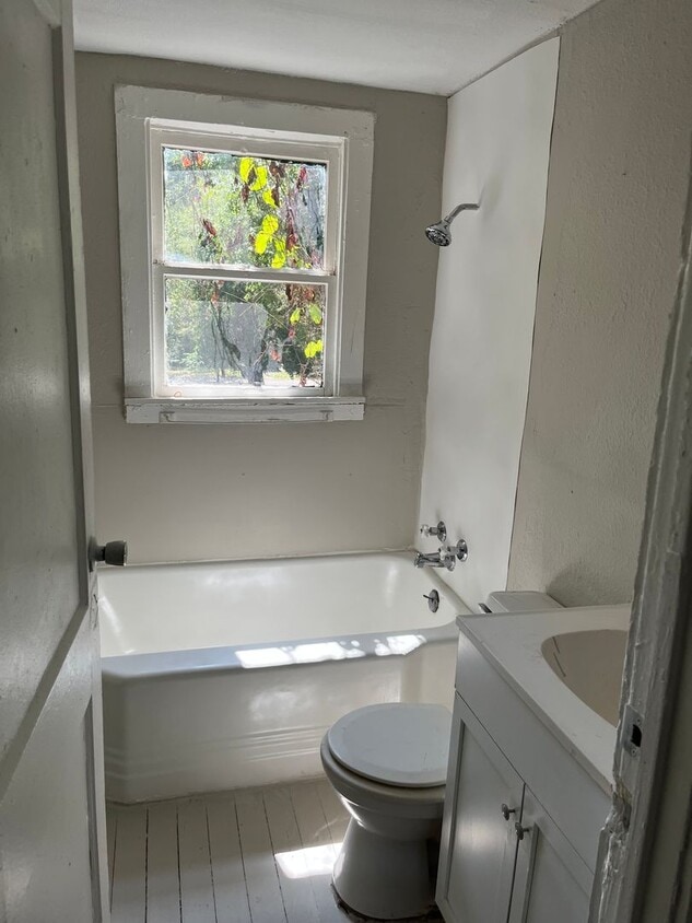 Building Photo - Newly Renovated Apartment